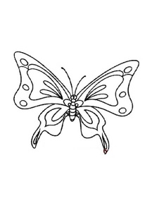 Simple strokes of butterfly pictures