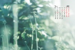 Eye protection natural scenery calendar wallpaper for March 2022