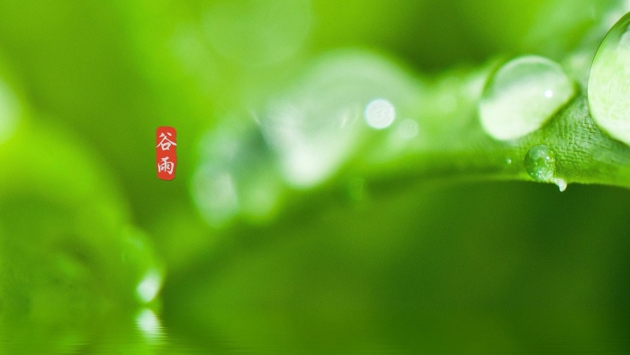 24節氣穀雨圖片桌麵壁紙