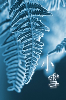 24 Solar Terms Xiaoxue Beautiful Mobile Wallpaper