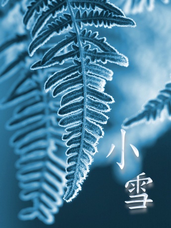 24节气小雪唯美手机壁纸