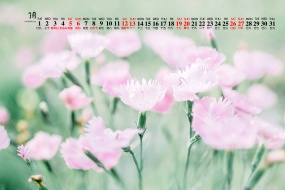 March 2022 park flowers and leaves desktop calendar wallpaper