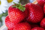 Fresh strawberry picture material HD wallpaper