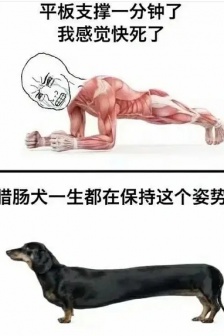 減重相關表情包
