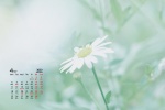 Simple and fresh desktop calendar wallpaper for April 2022
