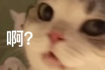 啊？