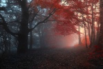 Picturesque autumn scenery pictures desktop wallpaper