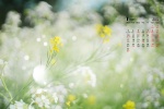 2022年1月清新淡雅花朵日曆壁紙