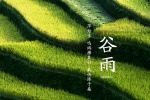 二十四節氣穀雨高清圖片