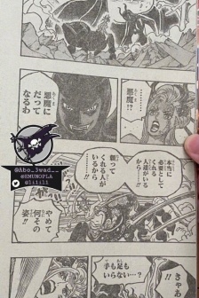 One Piece Chapter 1021 Demon Robin Pictures