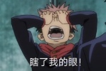 瞎了我的眼！