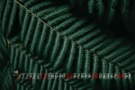 Eye-protecting green leaves desktop calendar wallpaper for May 2022