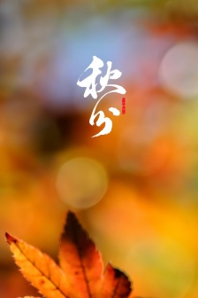 Autumnal equinox autumn leaves beautiful scenery mobile wallpaper