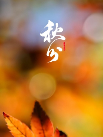 Autumnal equinox autumn leaves beautiful scenery mobile wallpaper