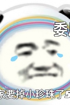 Panda head Bingdundun expression pack