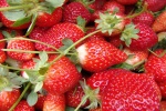 Fresh strawberry pictures desktop wallpaper