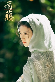 Si Teng Jingtian mobile wallpaper