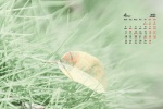 2022年4月绿色风景自然桌面日历壁纸