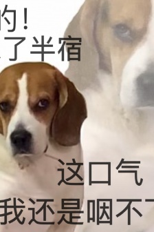 Sleep-related emoticon pictures