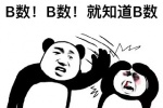 B数，B数！就知道B数