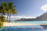 August 2021 island coconut tree desktop calendar wallpaper