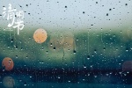 Beautiful pictures of rain falling during Qingming Festival desktop wallpaper