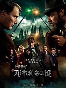 《神奇动物：邓布利多之谜》