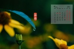 2021年5月清新護眼穀雨節氣桌麵日曆壁紙