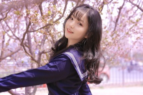 Beautiful girl under the cherry blossom tree picture desktop wallpaper