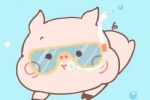 Cute cartoon pig WeChat avatar