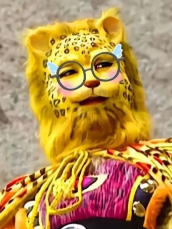 The popular golden leopard avatar on Douyin