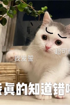哄對象哄男友專用表情包