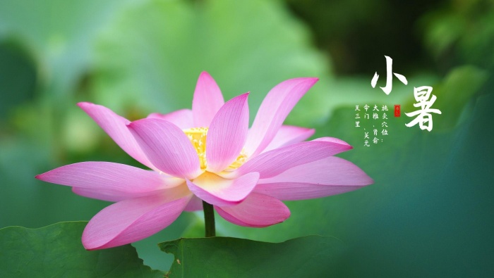 24 Solar Terms: Xiaoshu Pictures Desktop Wallpaper