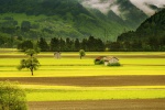 Green grass valley scenery picture desktop wallpaper