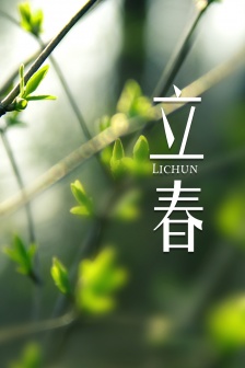 Beginning of Spring HD mobile wallpaper pictures