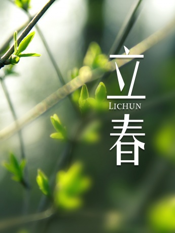 Beginning of Spring HD mobile wallpaper pictures