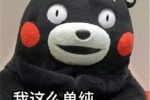 The latest version of Kumamon WeChat emoticon package pictures