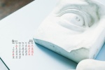 2021年6月小清新静物桌面日历壁纸
