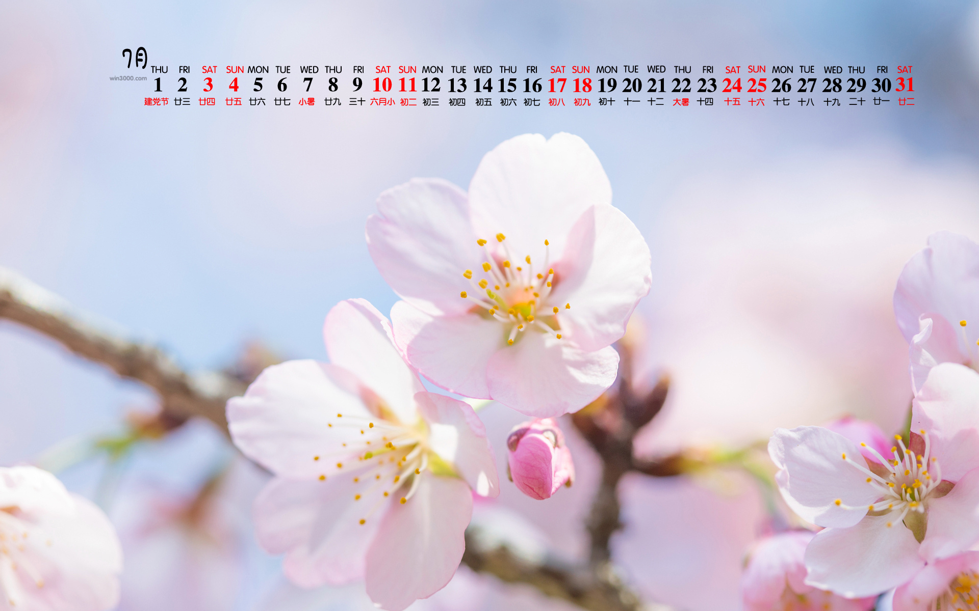 2021年7月唯美花卉植物桌面日历壁纸