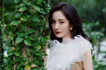 Yang Mi's elegant and charming photo pictures desktop wallpaper