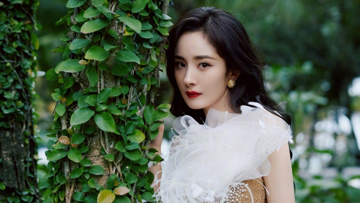 Yang Mi's elegant and charming photo pictures desktop wallpaper