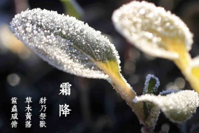 霜降之風景手繪卡通圖片壁紙