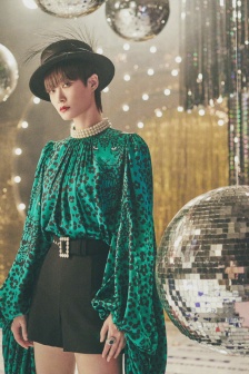 Li Yuchun retro disco style pictures