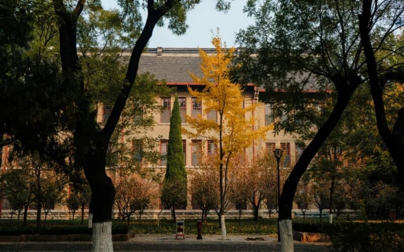 山东大学校园风景图片