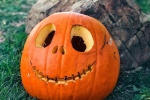 Halloween pumpkin HD pictures desktop wallpaper