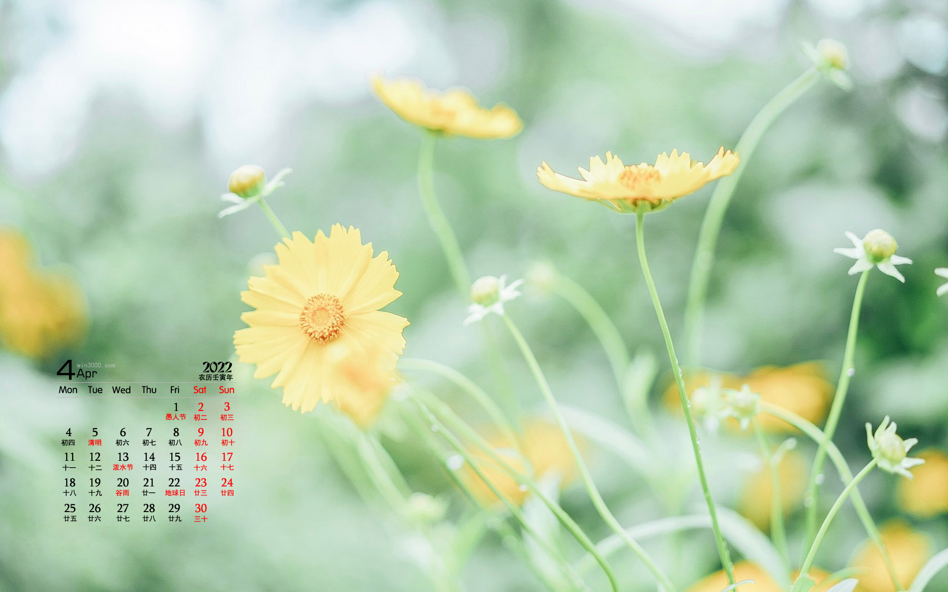 2022年4月绿叶花卉蓝天桌面日历壁纸