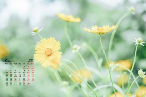 April 2022 green leaves flowers blue sky desktop calendar wallpaper