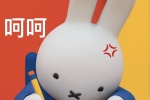 Summary of Miffy Rabbit themed expression packs