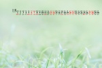 2021年11月绿色主题风景桌面日历壁纸