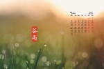 2020年5月穀雨清新綠色護眼日曆壁紙